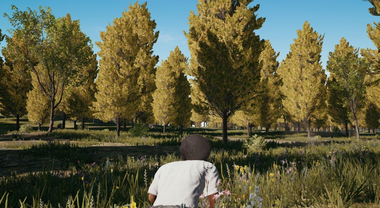 Zharki Trees